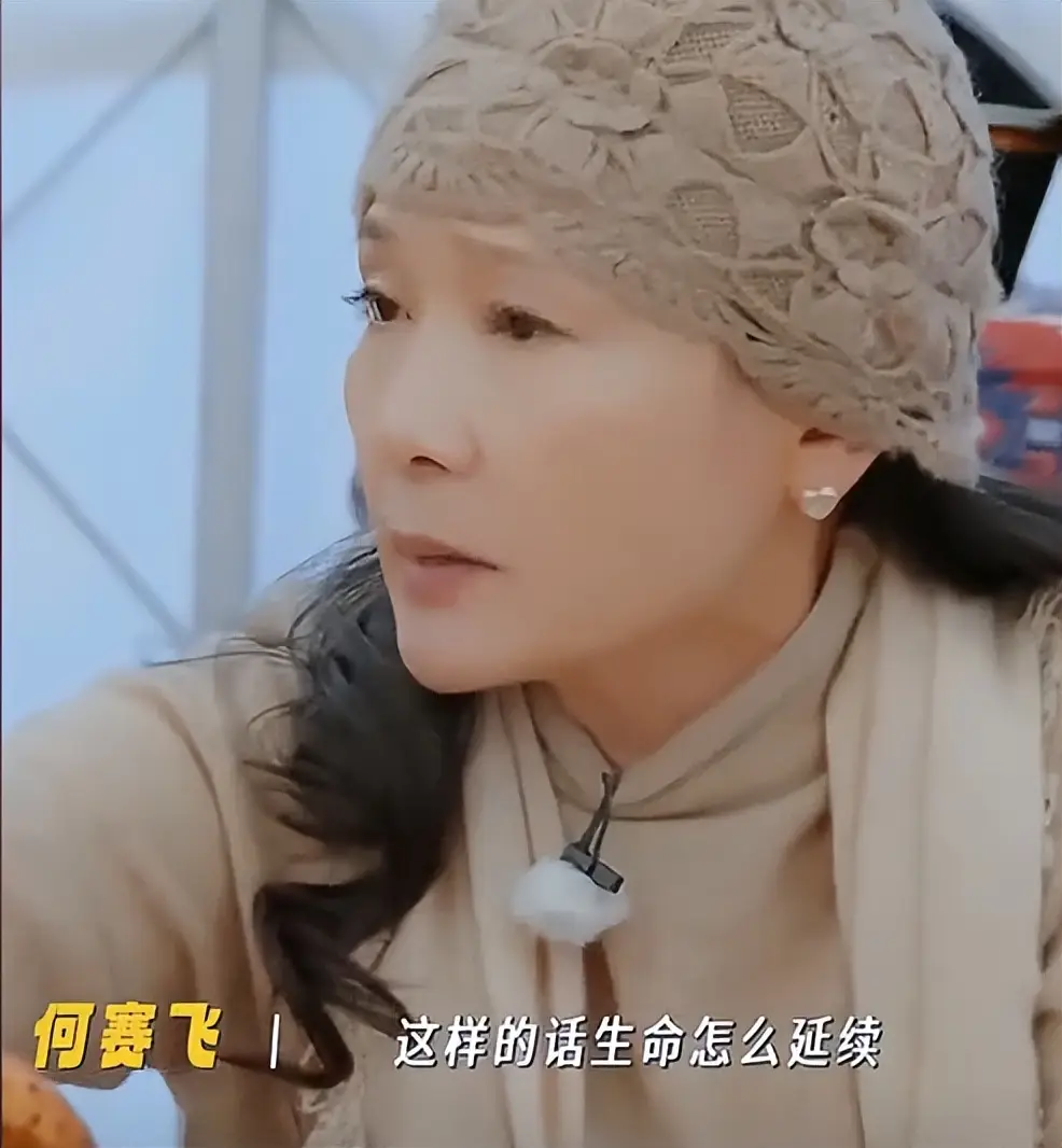 何赛飞真实性格_娱乐圈情商高的女明星_何赛飞低情商言论走红