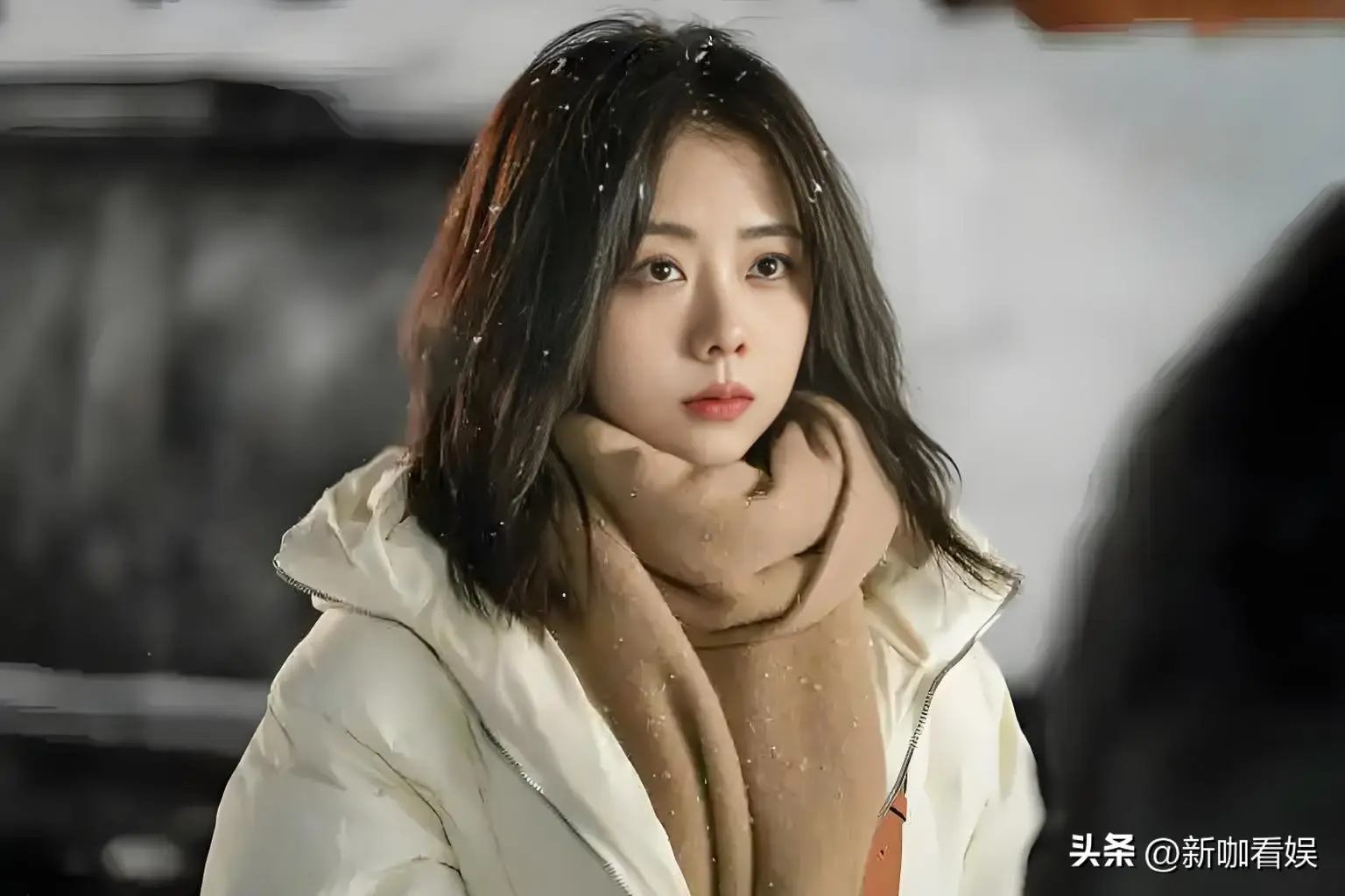 娱乐圈零绯闻明星_零绯闻不炒作专注作品的女星_内娱最干净的女星盘点